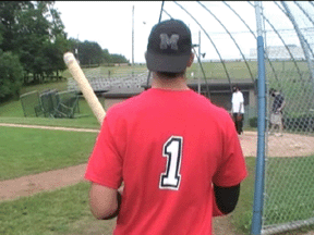 Casey
                      at the Bat